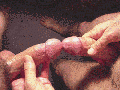 cum
